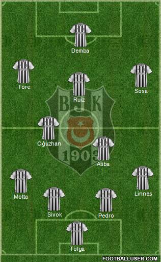 Besiktas JK Formation 2014