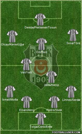Besiktas JK Formation 2014