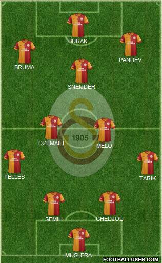 Galatasaray SK Formation 2014