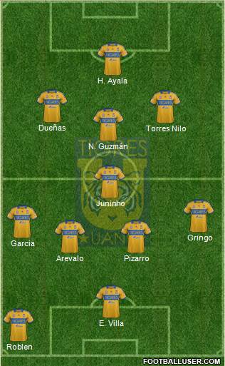 Club Universitario de Nuevo León Formation 2014