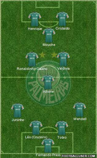 SE Palmeiras Formation 2014