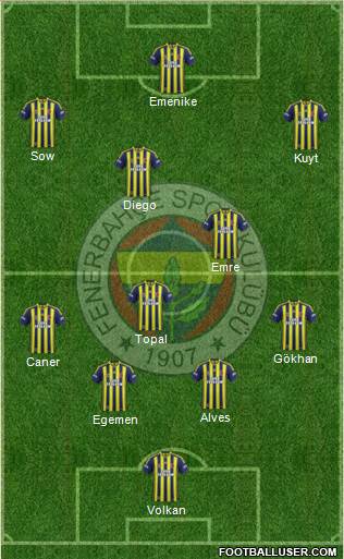Fenerbahçe SK Formation 2014