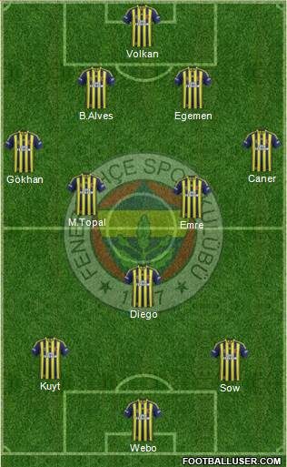 Fenerbahçe SK Formation 2014