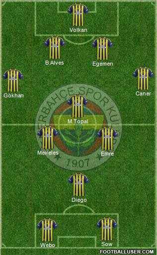 Fenerbahçe SK Formation 2014