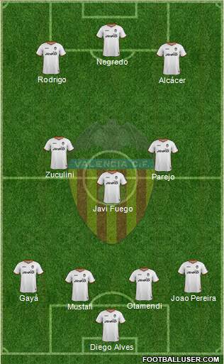 Valencia C.F., S.A.D. Formation 2014