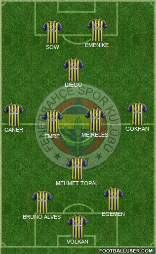 Fenerbahçe SK Formation 2014