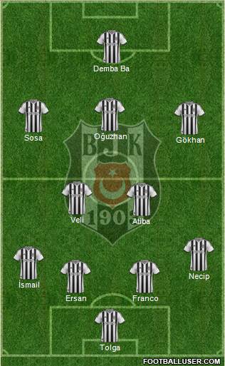 Besiktas JK Formation 2014