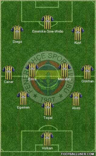 Fenerbahçe SK Formation 2014