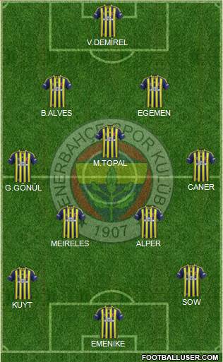Fenerbahçe SK Formation 2014
