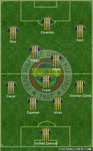 Fenerbahçe SK Formation 2014