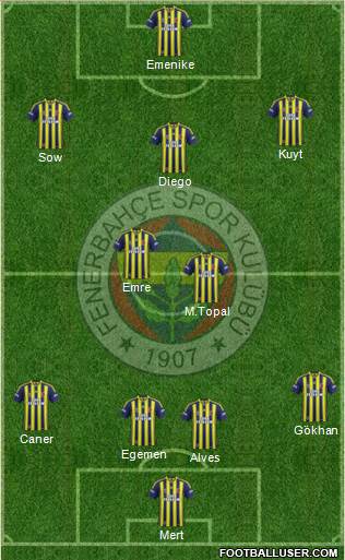 Fenerbahçe SK Formation 2014