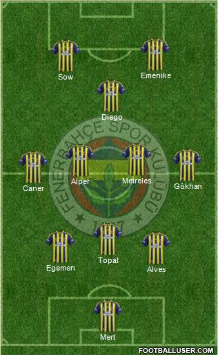 Fenerbahçe SK Formation 2014