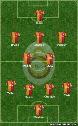 Galatasaray SK Formation 2014