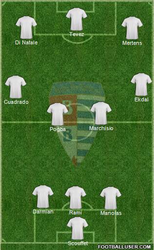 Pro Patria et Libertate Formation 2014