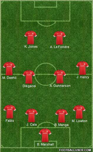 Cardiff City Formation 2014