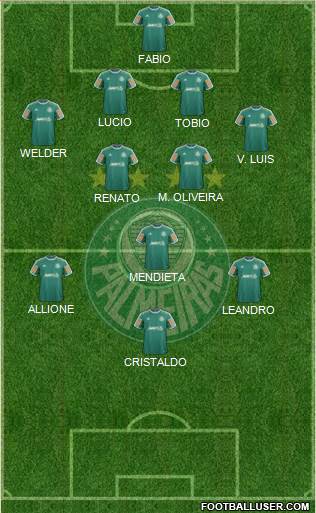 SE Palmeiras Formation 2014