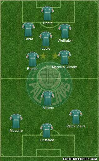 SE Palmeiras Formation 2014