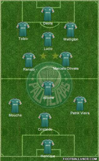 SE Palmeiras Formation 2014