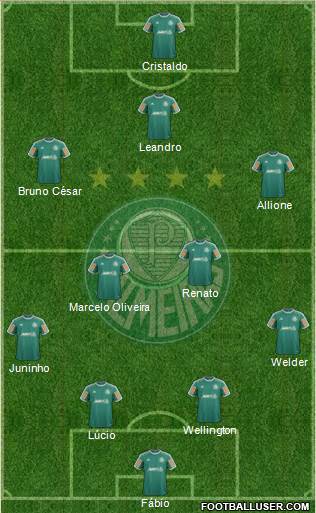 SE Palmeiras Formation 2014