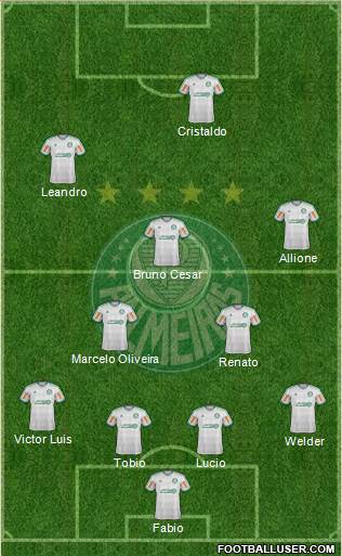 SE Palmeiras Formation 2014