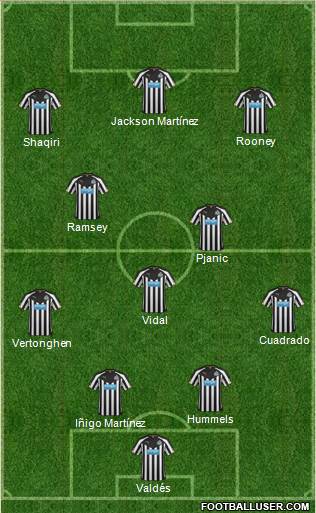 Newcastle United Formation 2014
