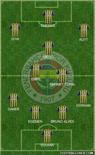 Fenerbahçe SK Formation 2014