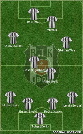 Besiktas JK Formation 2014