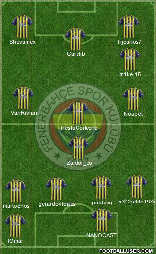 Fenerbahçe SK Formation 2014