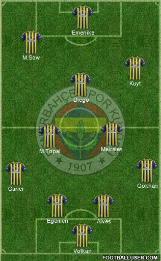 Fenerbahçe SK Formation 2014