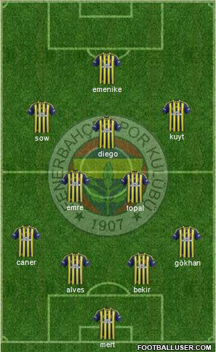 Fenerbahçe SK Formation 2014