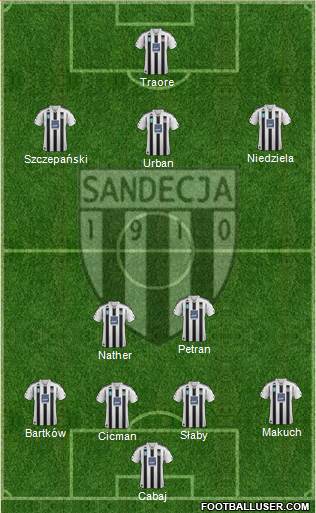 Sandecja Nowy Sacz Formation 2014