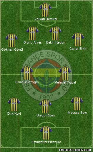 Fenerbahçe SK Formation 2014