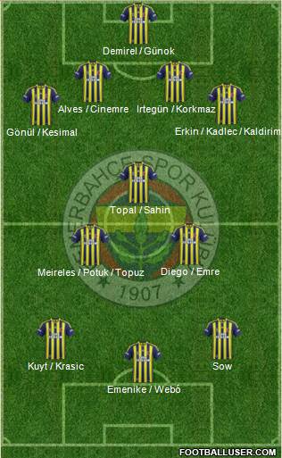 Fenerbahçe SK Formation 2014