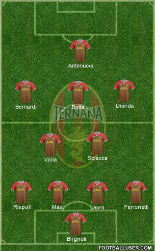 Ternana Formation 2014