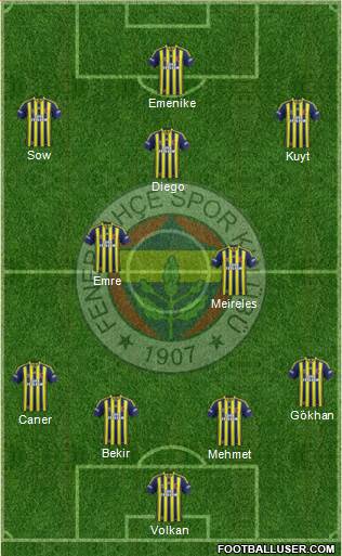 Fenerbahçe SK Formation 2014