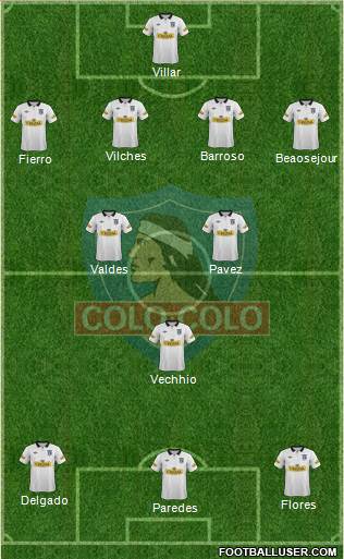 CSD Colo Colo Formation 2014
