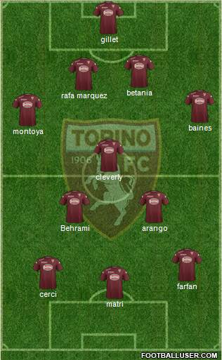 Torino Formation 2014