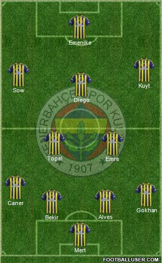 Fenerbahçe SK Formation 2014