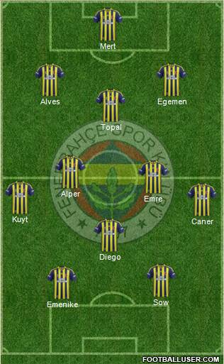 Fenerbahçe SK Formation 2014