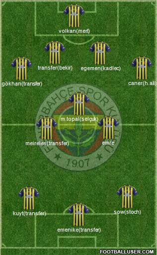 Fenerbahçe SK Formation 2014