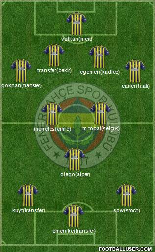 Fenerbahçe SK Formation 2014