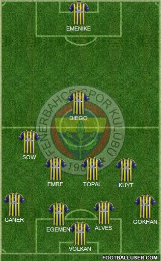Fenerbahçe SK Formation 2014