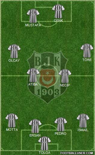 Besiktas JK Formation 2014