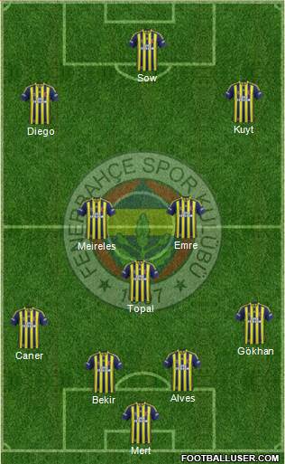 Fenerbahçe SK Formation 2014