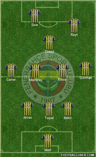 Fenerbahçe SK Formation 2014