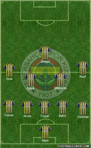 Fenerbahçe SK Formation 2014