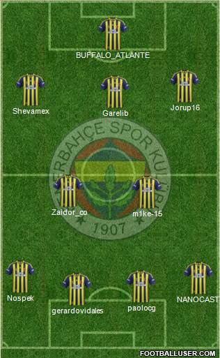 Fenerbahçe SK Formation 2014