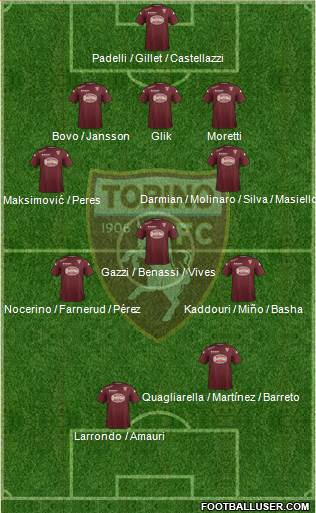 Torino Formation 2014
