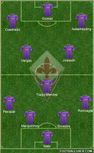 Fiorentina Formation 2014