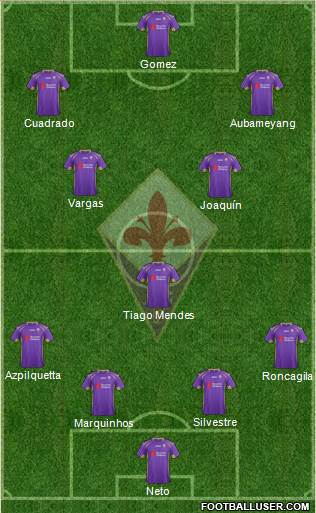 Fiorentina Formation 2014